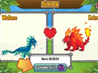 Drachen züchten Drachen züchten