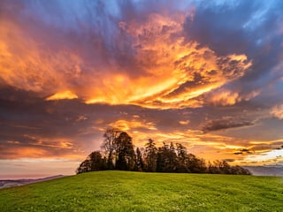 orange Wolken über einem Waldstück.