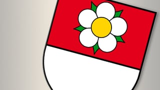 Wappen Seltisberg