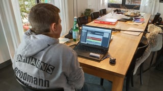 Junge Frau am Laptop. Junge Frau am Laptop.