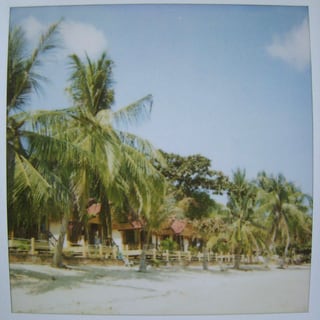Verblichene Polaroidfoto eines Sandstrands mit Palmen.
