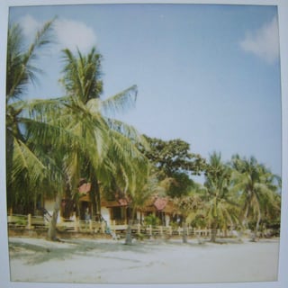 Verblichene Polaroidfoto eines Sandstrands mit Palmen. Verblichene Polaroidfoto eines Sandstrands mit Palmen.