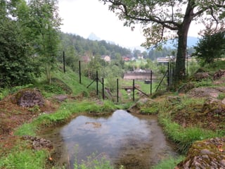 Eine Wiese mit Teich und Bäumen mit einem starken Zaun umzäunt ist. 