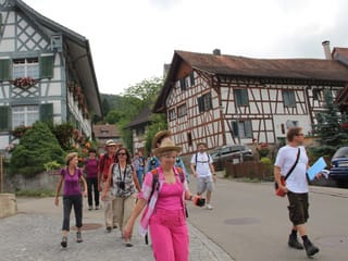 Die Wandergruppe auf dem Weg durch Unterstammheim, im Hintergrund sind zwei schöne alte Riegelhäuser zu sehen.