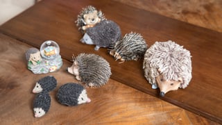 Auf einem Tisch liegen verschiedene Miniatur-Igel. Auf einem Tisch liegen verschiedene Miniatur-Igel.