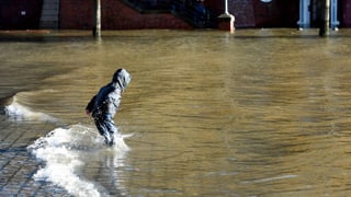 Hamburg unter Wasser. Hamburg unter Wasser.