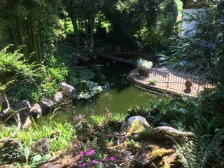 Garten mit Teich.