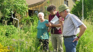Gartenbegutachtung Gartenbegutachtung