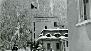 Auf einem Dach weht eine Hakenkreuz-Flagge, im Hintergrund verschneite Berge.