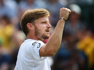 David Goffin. 