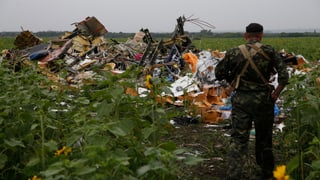 Ein prorussischer Separatist steht in einem Feld mit Flugzeugtrümmern.