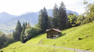 Eine Alphütte auf dem Weg auf den Niesen.