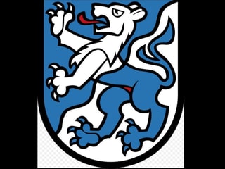 Wappen von Brienz