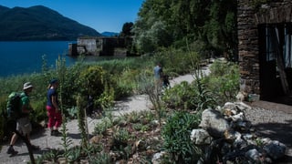 Drei Touristen im Botanischen Garten auf den Brissago-Inseln im Lago Maggiore