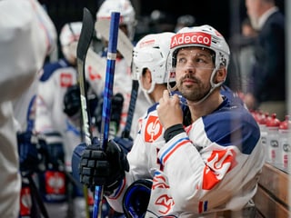 Patrick Geering und die ZSC Lions. Patrick Geering und die ZSC Lions.