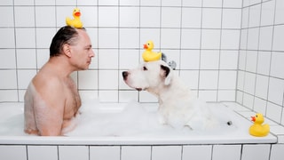 Ein Mann und ein Hund sitzen in einer Badewanne. auf dem Kopf tragen beide eine gelbe Quitschente.