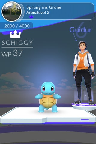 Blaue Schildkröte und ihr Trainer in der Arena.