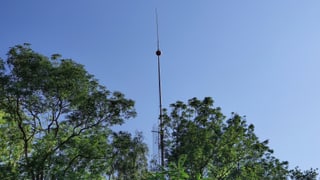 Schmaler Turm zwischen Bäumen Schmaler Turm zwischen Bäumen