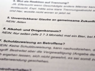 Die Software stellt unter anderem die Frage nach Alkohol- und Drogenkonsum.