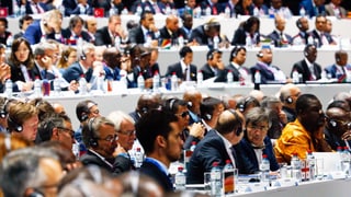 Fifa-Kongress im Mai 2015