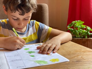 Junge malt Blumen und Blätter in sein Naturtagebuch.