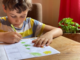 Junge malt Blumen und Blätter in sein Naturtagebuch. Junge malt Blumen und Blätter in sein Naturtagebuch.