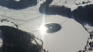 Luftbild vom Türlersee. In der Mitte eine kreisrunde, offene Wasserfläche. Luftbild vom Türlersee. In der Mitte eine kreisrunde, offene Wasserfläche.