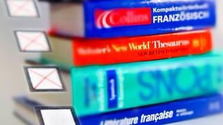 Französische Wörterbücher und Test.