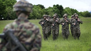 Soldaten auf Wiese