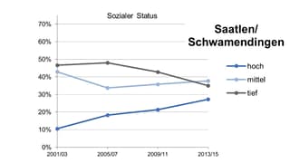 Graphik zum sozialen Status im Zürcher Quartier Schwamendingen. 