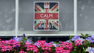 Ein «Leave»-Plakat in einem Fenster: «Keep calm and vote for Brexit»
