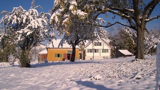 Appenzellerhaus in einer Winterlandschaft.