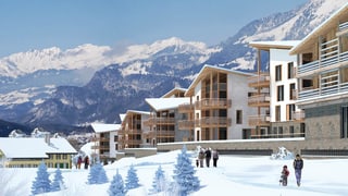 Eine Projektansicht des geplanten Brienzersee Resort in Oberried