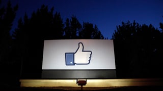 Ein Plakat mit einem Facebook-Daumen wird von einem Scheinwerfer beleuchtet, dahinter zeichnet sich die Silhouette eines Waldes in der Nacht ab.
