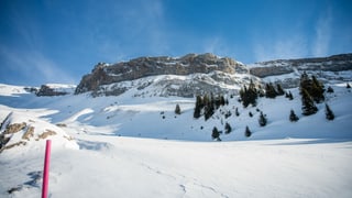 Schneelandschaft Schneelandschaft