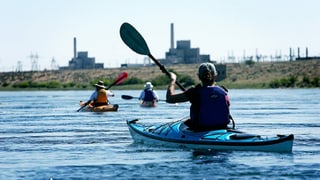 Drei Leute paddeln in Kayaks auf einem Fluss.