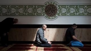 Zwei Männer sitzen auf Teppich und beten 