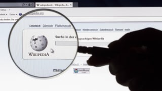 Symbolbild: Homepage von Wikipedia, eine Hand hält eine Lupe vor dem Bildschirm.
