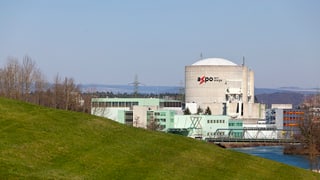 AKW Beznau hinter Wiese AKW Beznau hinter Wiese