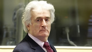Karadzic vor Gericht. Karadzic vor Gericht.