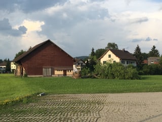 Baum liegt vor Bauernhof.