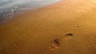 ein Fussabdruck im Sand ein Fussabdruck im Sand