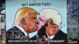 Plakat auf dem sich Trump und Johnson küssen.