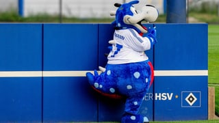HSV-Maskottchen Dino Hermann steht an einer blauen Wand.