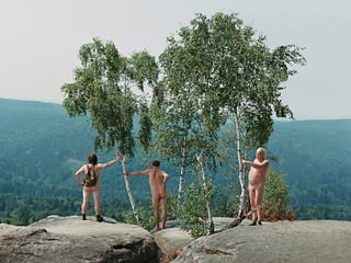 Drei Nacktwanderer stehen unter einer Birke.