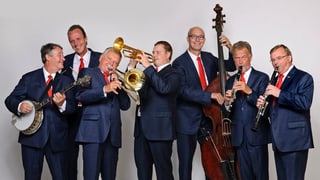 Die sieben Musiker in blauen Anzügen und mit ihren Instrumenten auf einem Gruppenfoto.