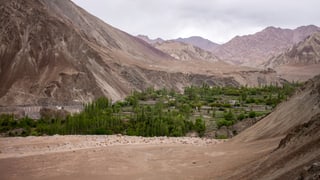 Bäume und Hügel im himalayischen Gebiet Bäume und Hügel im himalayischen Gebiet