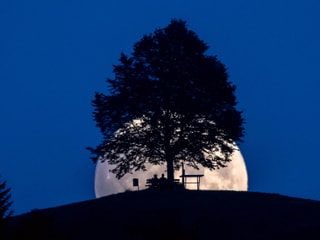 Mondaufgang mit Baum und Bank.