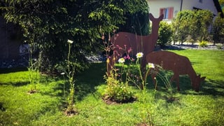 Englischer Rasen mit Blumenziegeln Englischer Rasen mit Blumenziegeln