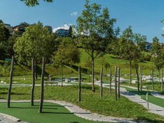 Bäume und Rasenteppich auf der Minigolfanlage.